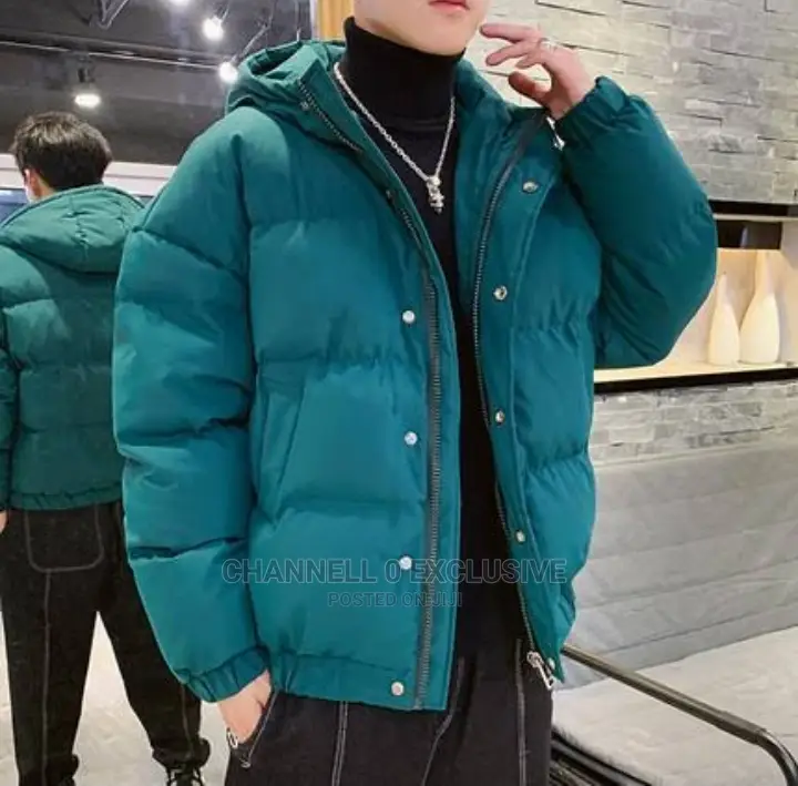 Shiny Winter Coat Men Puffer Down Jacket USA STANDARD