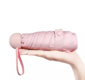 Foldable Umbrella With Case