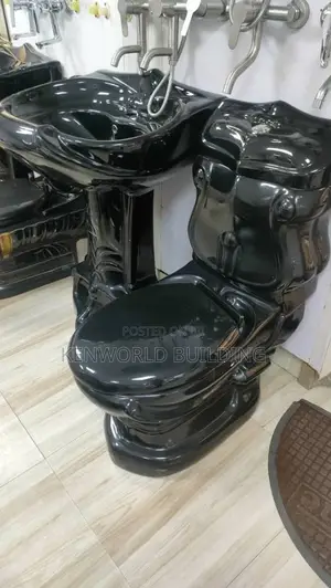 Luxury Black Water Closet