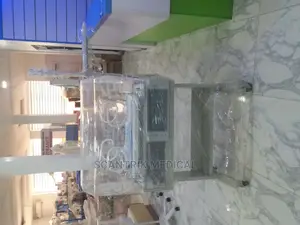 Infant Baby Incubator for Newborn