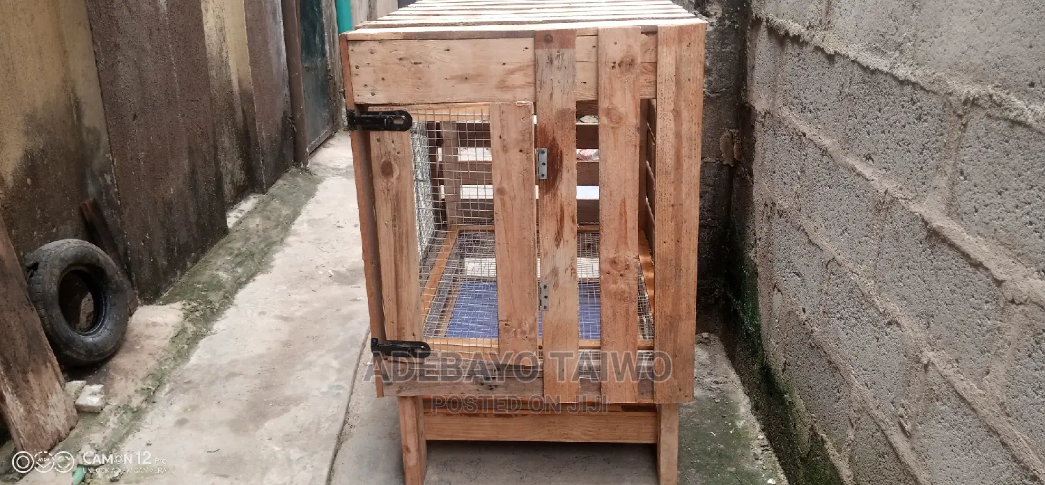 Pallet Wooding Cage for Dogs