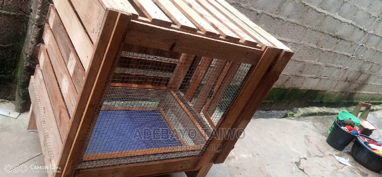 Pallet Wooding Cage for Dogs