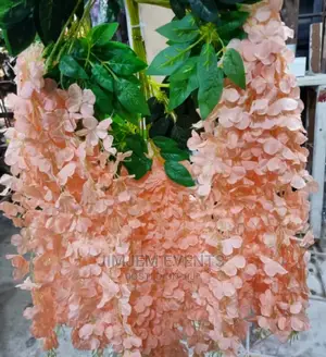 Dropping Flowers