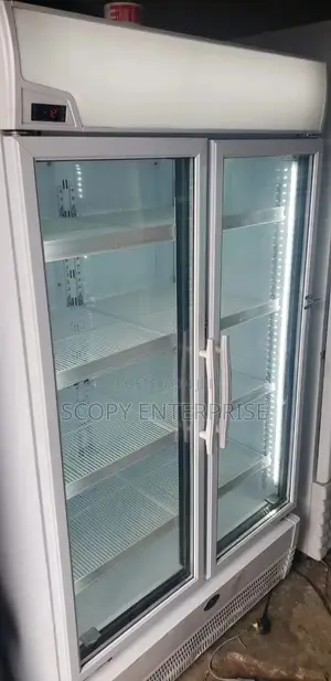 Double Door Chiller