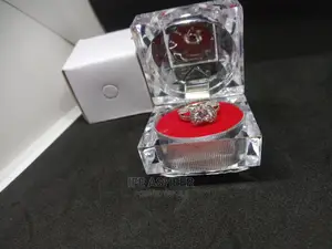 Ladies Beautiful Proposal Ring 001 - Silver