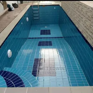 Mr Prince Swimming Pool Design
