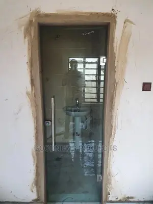 Glass Toilet Door