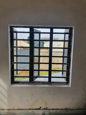 Burglary With Net Window