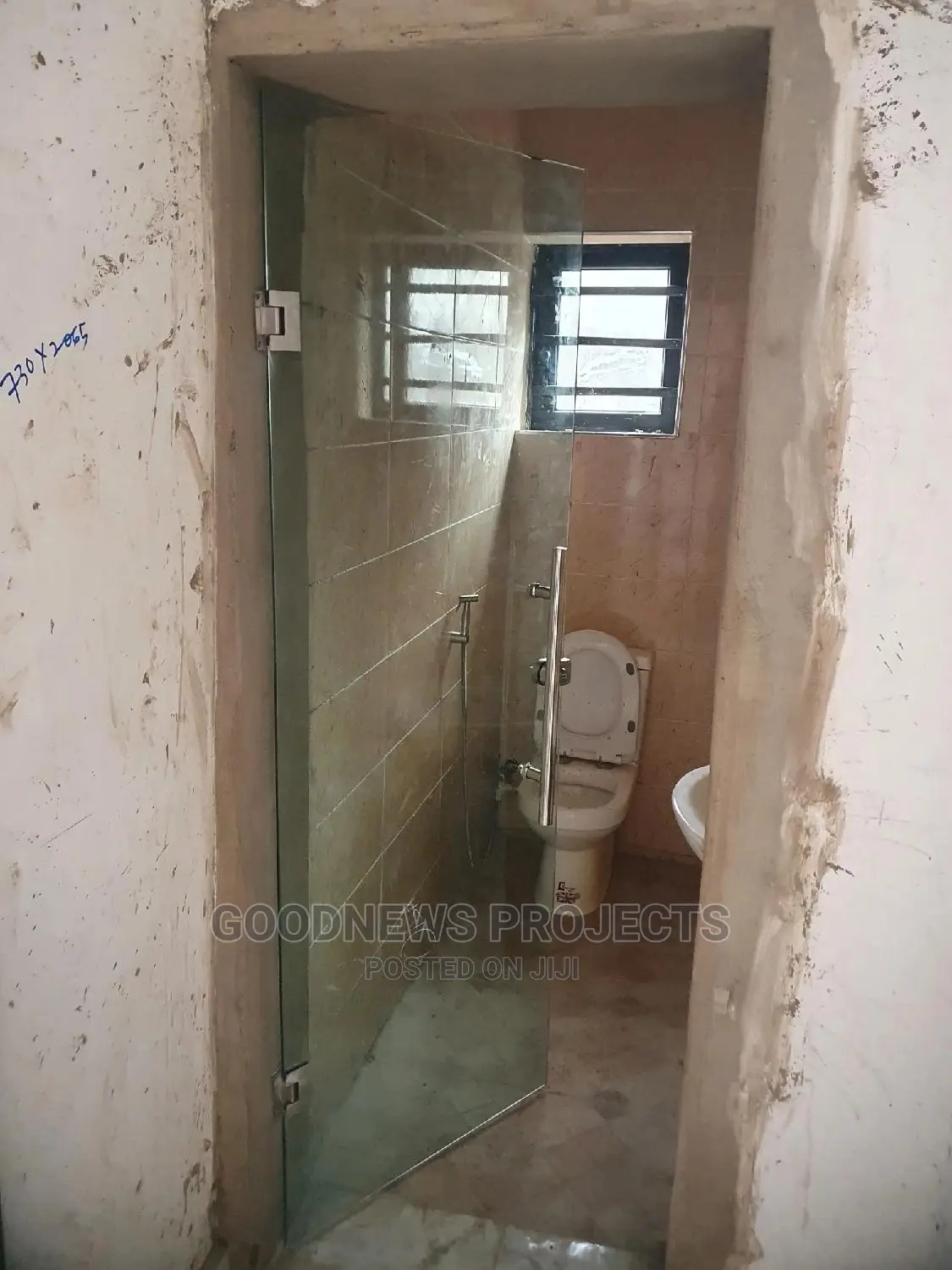 Frameless Toilet Door