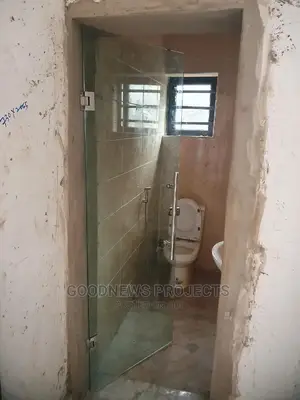 Frameless Toilet Door