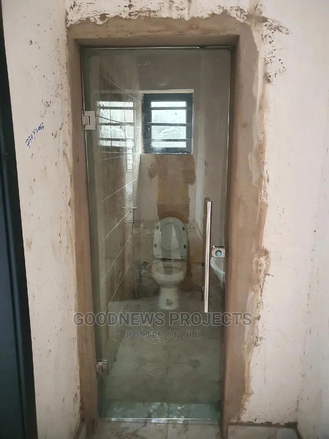Frameless Toilet Door