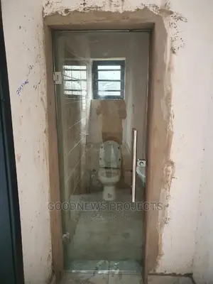 Frameless Toilet Door