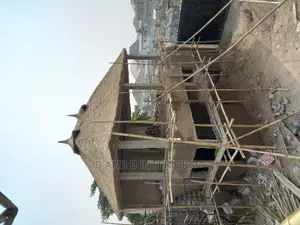Thatch Roof or Bush Roof