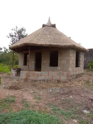 Thatch Roof or Bush Roof