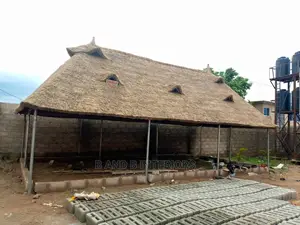 Thatch Roof Or Bush Roof