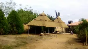 Thatch Roof or Bush Roof