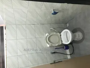 Plumbing Work