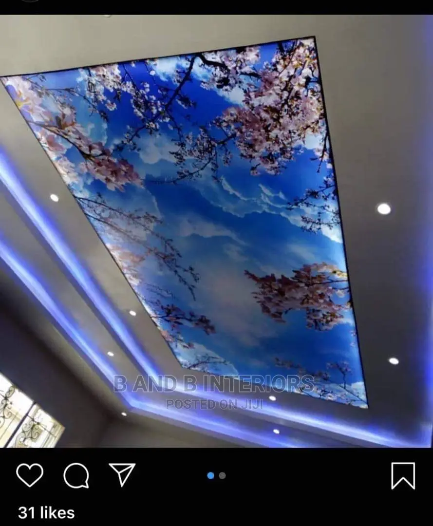 Stretch Ceiling Designs and Decor