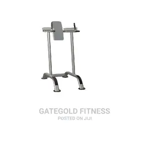 IT7010E Vertical Kneel Raise