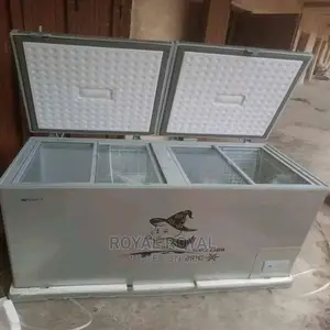 Snowsea Double Door Freezer BD 600 - 600L