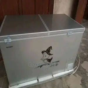 Just Released Snowsea Double Door Freezer BD 600 - 600L