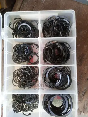 Circlip Pin