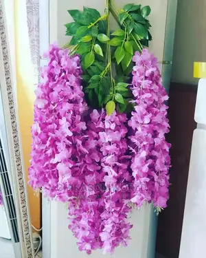 Adorable WISTERIA Flowers 