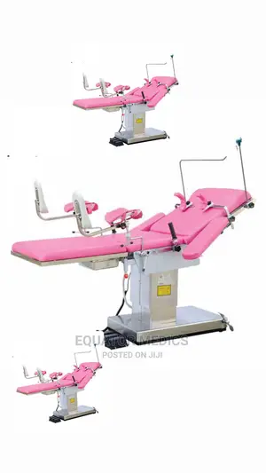 Electric Delivery Bed Jhdc-99b-1(Axiom)