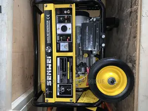 Senwei Generator