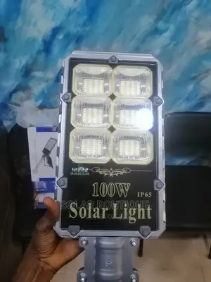 100w Solar Street Light Separate Panel