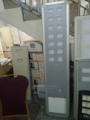 Solar Street Light D2 100w