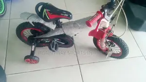 Size 16 Children Bike