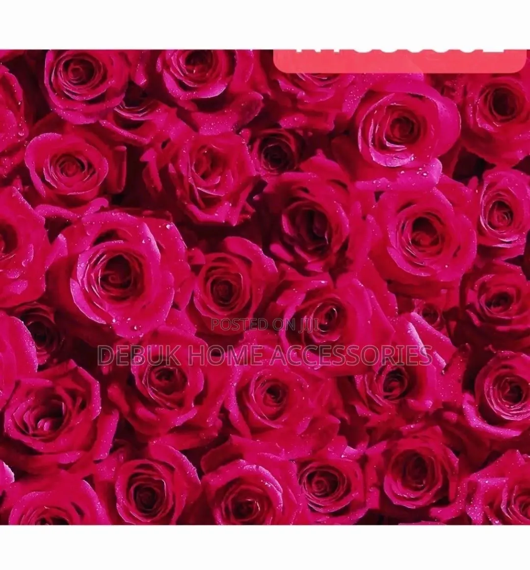 Red Rose Wallpaper