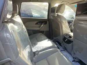 Acura MDX 2010 Silver