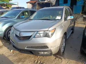 Acura MDX 2010 Silver