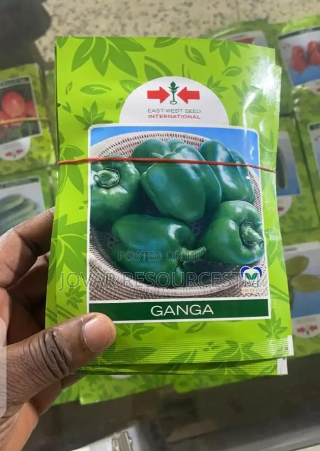 Best Bell Ball Sweet Pepper Seeds