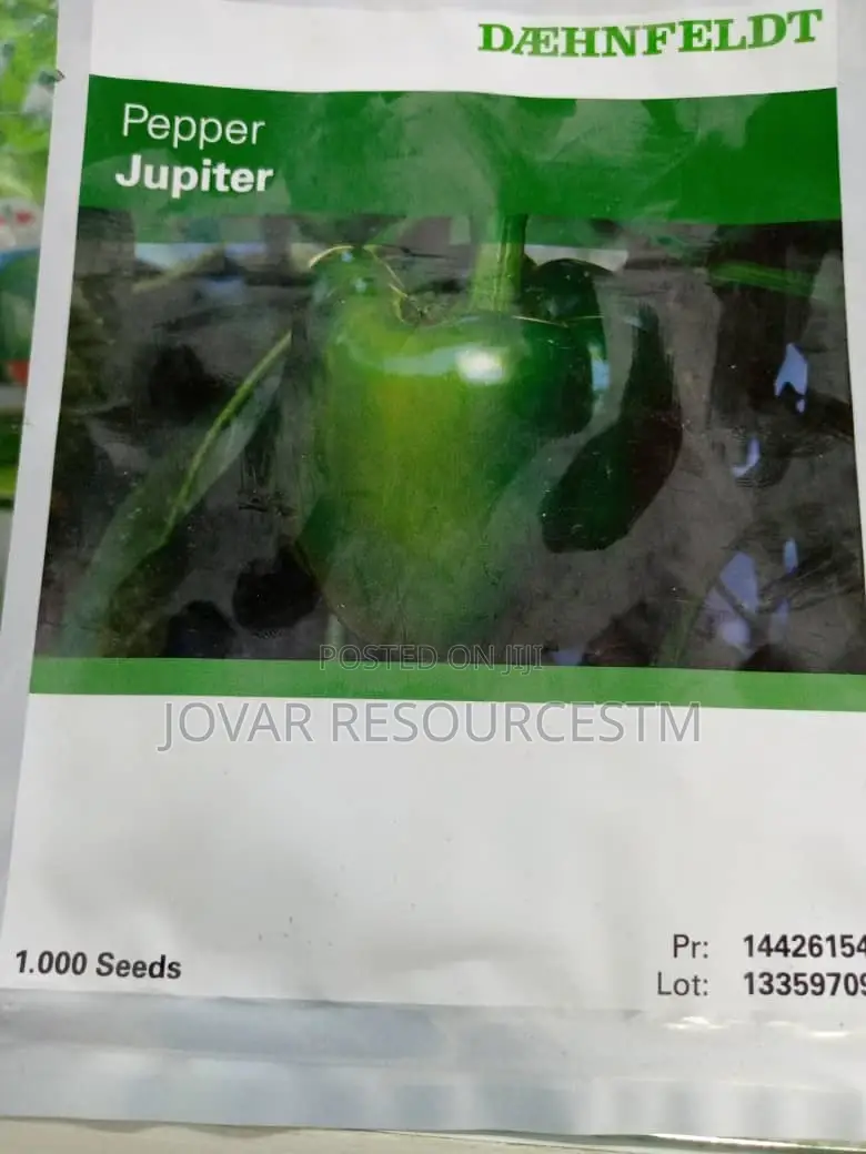 Best Bell Ball Sweet Pepper Seeds