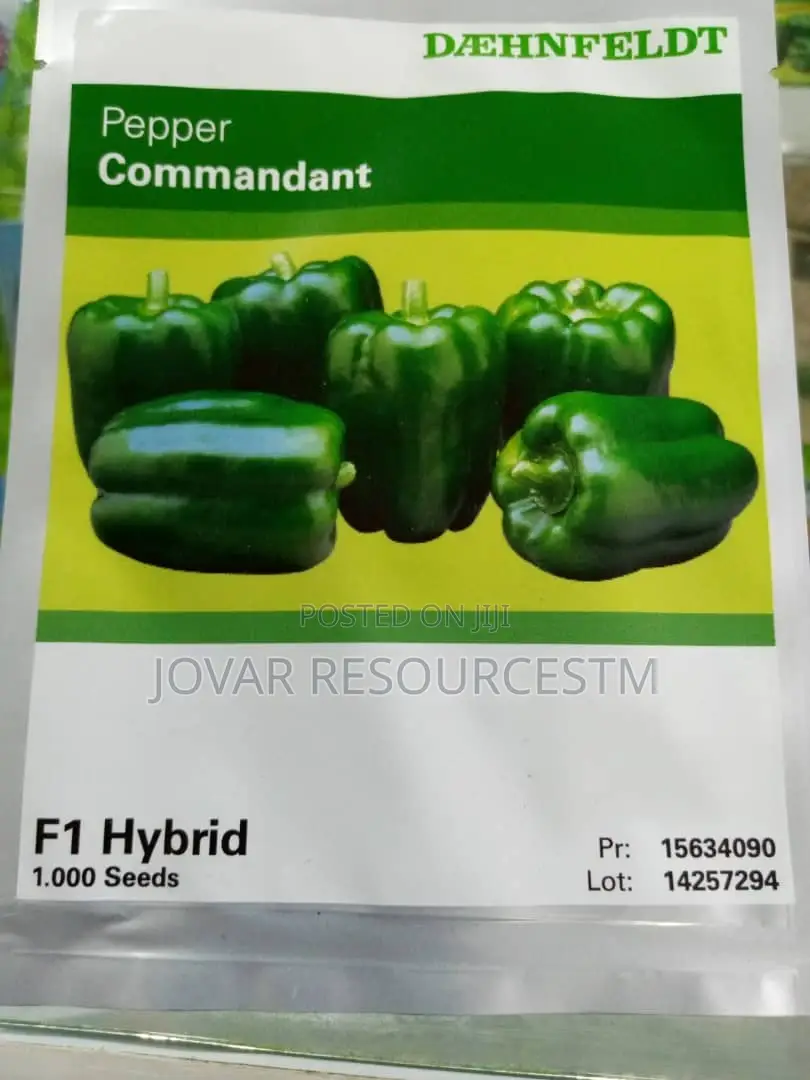 Best Bell Ball Sweet Pepper Seeds