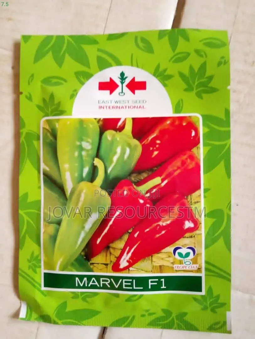 Best Bell Ball Sweet Pepper Seeds