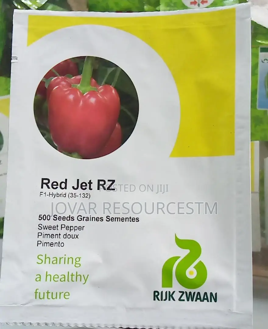 Best Bell Ball Sweet Pepper Seeds