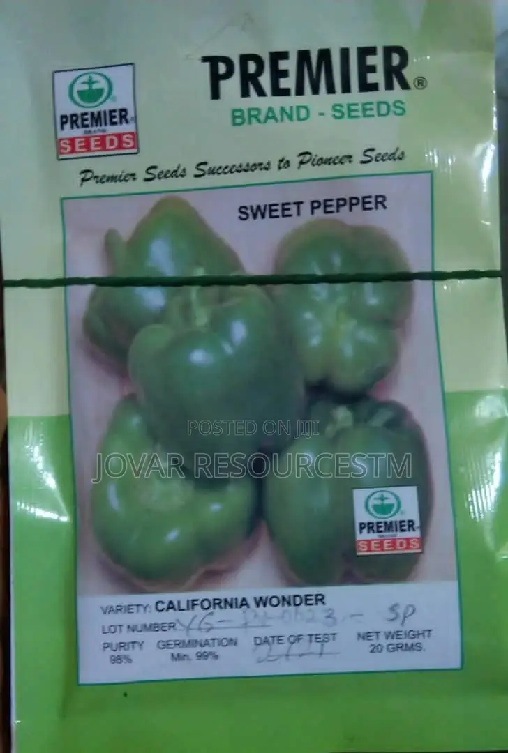 Best Bell Ball Sweet Pepper Seeds