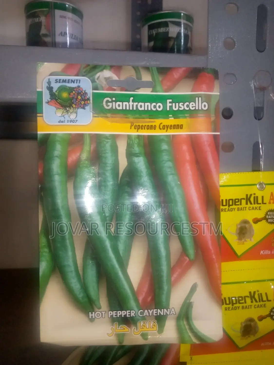 Best Bell Ball Sweet Pepper Seeds