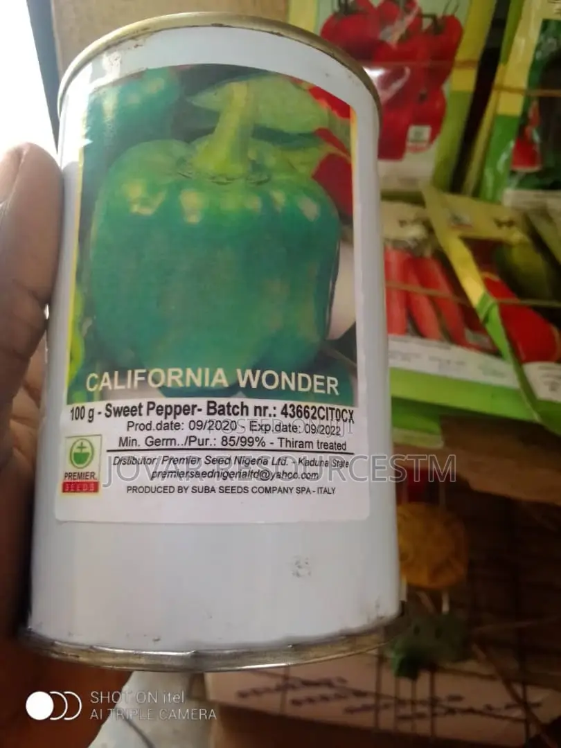 Best Bell Ball Sweet Pepper Seeds