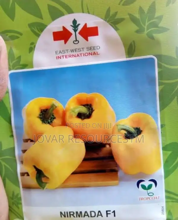 Best Bell Ball Sweet Pepper Seeds