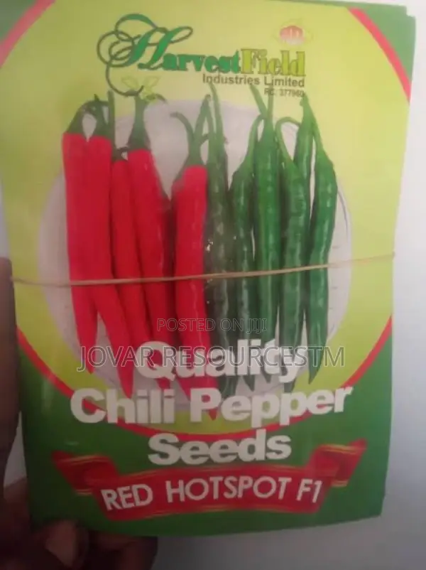 Best Bell Ball Sweet Pepper Seeds