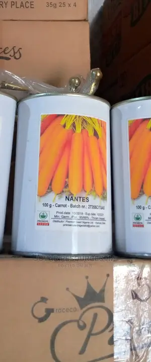 Best Improved Carrot Seeds