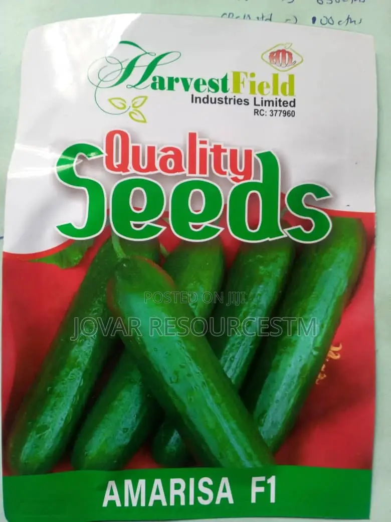 Best Improved Cucumber Seeds