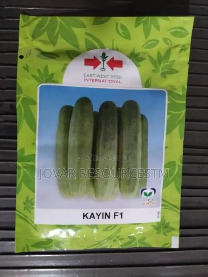 Best Improved Cucumber Seeds