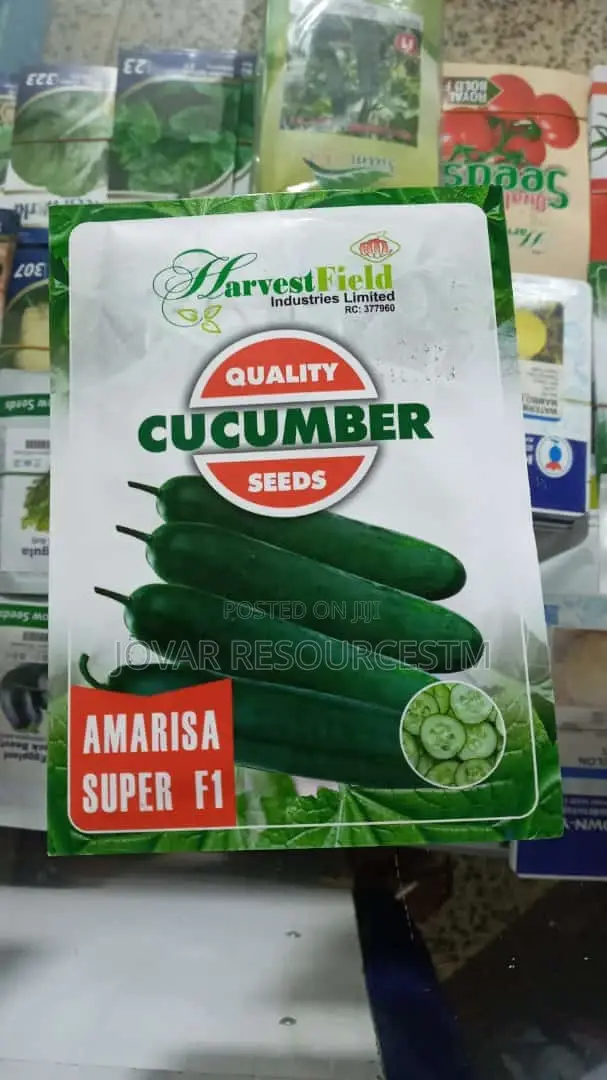 Best Improved Cucumber Seeds