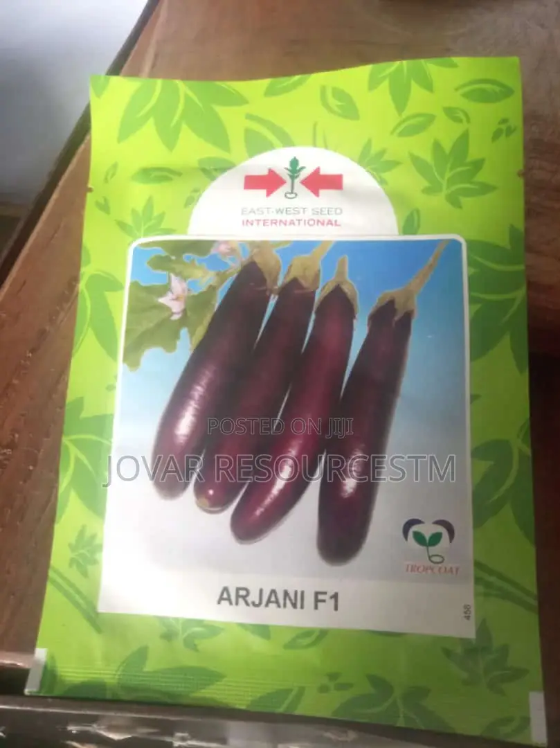 Best Garden Egg / Eggplant Seeds